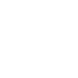 punktor