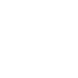punktor